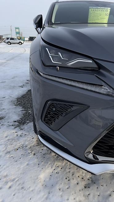 Lexus: Lexus NX: 2019 г., 2 л, Автомат, Бензин, Кроссовер — 27