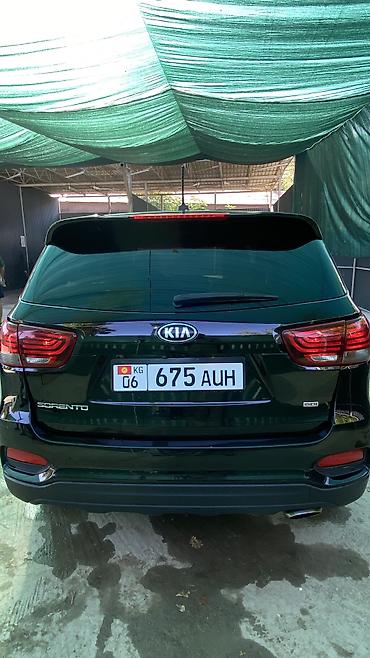 дерево w210: Kia Sorento: 2019 г., 2.4 л, Автомат, Бензин, Кроссовер — 3