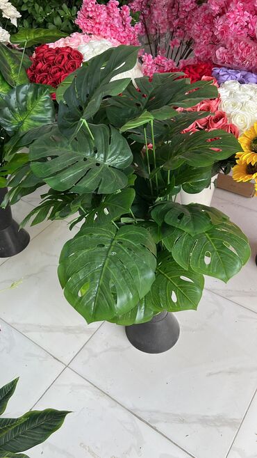 Digər tikinti materialları: Ed 7 man baslayr topdan perakenden satis var Mehsulu bir basa ozumuz — 27