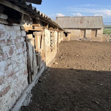 Сельхоз предприятия: Продаю Кошара, 40 соток, Действующий, С оборудованием, Отопление, Холодная вода, Электричество at lalafo.kg — 2 Сельхоз предприятия: Продаю Кошара, 40 соток, Действующий, С оборудованием, Отопление, Холодная вода, Электричество — 2