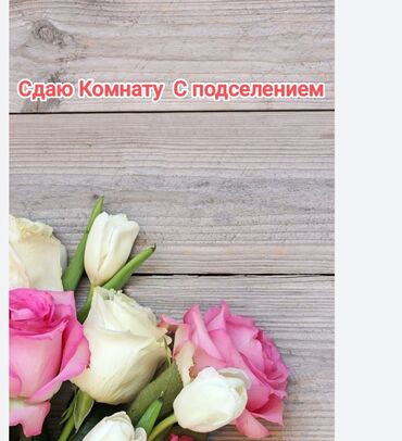 долгосрочная аренда гостиницы: Сдаю комнату с подселением.

Бир комната берилет . 1 кызга
