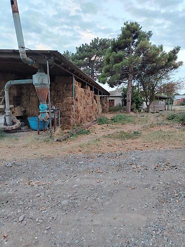 bayilda kiraye evler 2018: Ferma/təsərrüfat kompleksi - Heyvandarlıq üçün tikili və açıq — 8
