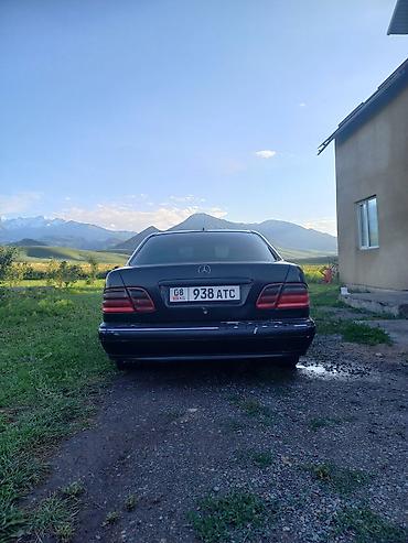 bye e5: Mercedes-Benz E-Class: 2000 г., 3.2 л, Автомат, Дизель, Седан — 4