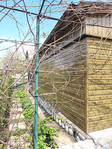 карапол дача: 4 соток, Красная книга — 6