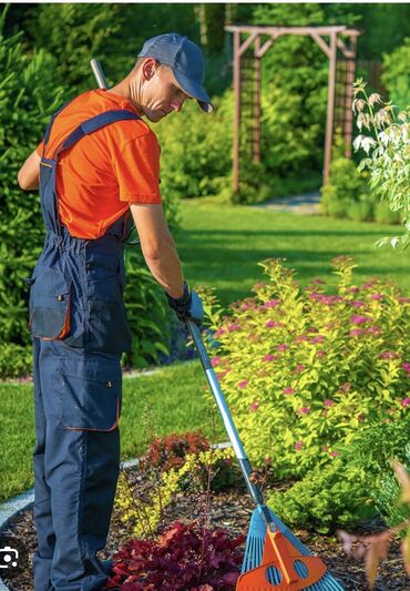 Дворники, садовники: Требуется Садовник, дворник желательно с опытом работы заработная