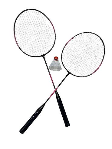 №: 943 Məhsulun adı: Badminton üçün raketka dəsti No Brand SM-55