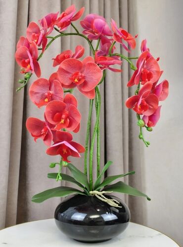 Декоративные цветы: Орхидея искусственная для декора в керамическом горшке Орхидея — 21