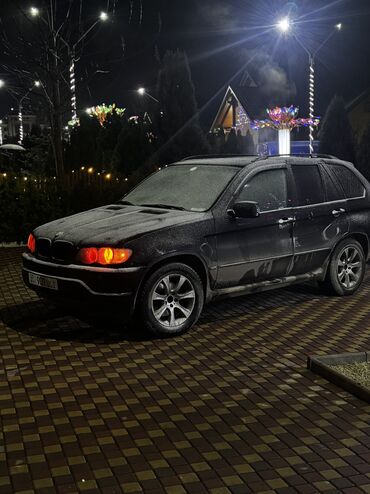 BMW: BMW X5: 2004 г., 4.4 л, Типтроник, Бензин, Кроссовер — 11