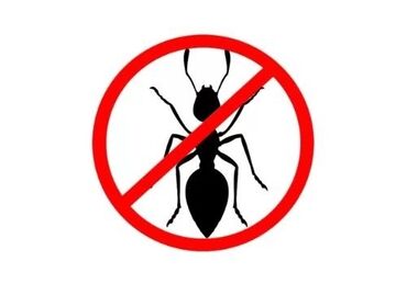 уничтожение тараканов бишкек: Дезинфекциялоо, дезинсекциялоо | Канталалар, Бүргөлөр, Таракандар | Транспорт, Офистер, Батирлер
