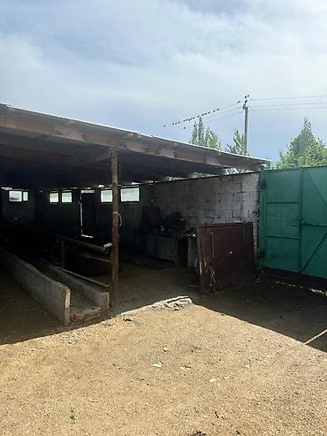 Продажа коттеджей и домов: 🏡 Участок 6 соток с удобным расположением и заездами с двух разных — 22