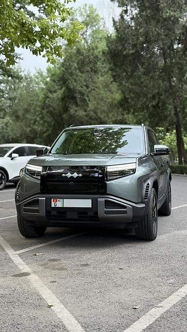 byd 2025: BYD FangChengBao Leopard 3: 2025 г., Автомат, Электромобиль, Кроссовер — 3