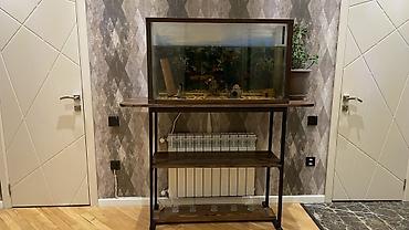 syomqa baliq: Akvarium Olchusu eni 1 metr hundurluyu 70 sm derinliyi 40 sm - — 2