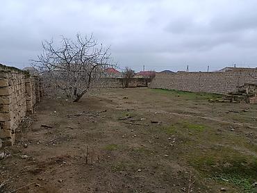 Torpaq sahələrinin satışı: 7 sot, Tikinti, Kupça (Çıxarış) — 6