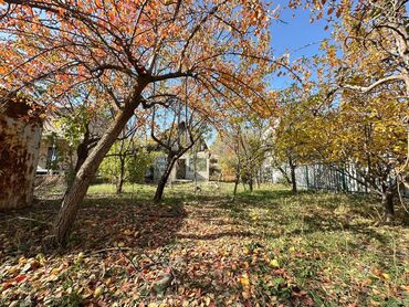 Продажа домов: Дача, 40 м², 2 комнаты, Агентство недвижимости — 3