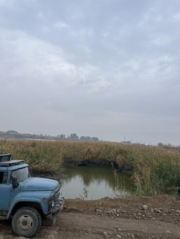 шины нивы: Жүк ташуучу унаа, ZIL