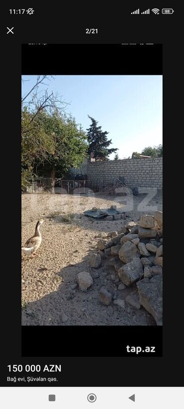 Həyət evləri və villaların satışı: 4 otaqlı, 170 kv. m, Kredit yoxdur, Yeni təmirli -da lalafo.az — 17 Həyət evləri və villaların satışı: 4 otaqlı, 170 kv. m, Kredit yoxdur, Yeni təmirli — 17