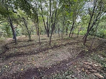 Продажа участков: 6 соток, Красная книга, Тех паспорт, Договор дарения at lalafo.kg — 4 Продажа участков: 6 соток, Красная книга, Тех паспорт, Договор дарения — 4