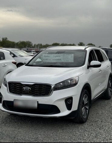 Kia: Kia Sorento: 2019 г., 2 л, Автомат, Дизель, Кроссовер