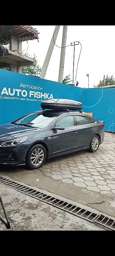 Автобоксы: Автобокс Broomer, 175 см, 480 л, Новый, Платная доставка — 8