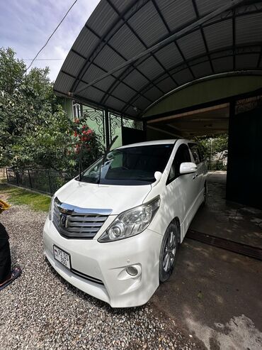 Toyota: Toyota Alphard: 2010 г., 3.5 л, Типтроник, Бензин, Минивэн