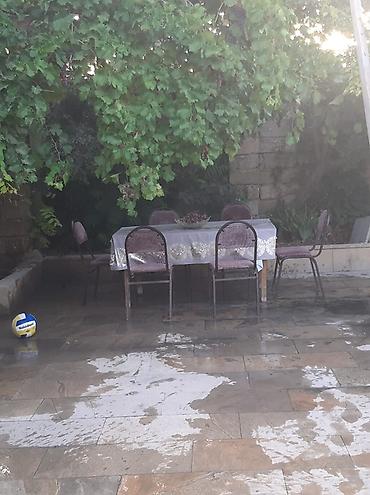 Həyət evi alıram: - Geniş, daşla döşənmiş həyət: yaşıl ağaclar, gül kolları, hasarlı — 16