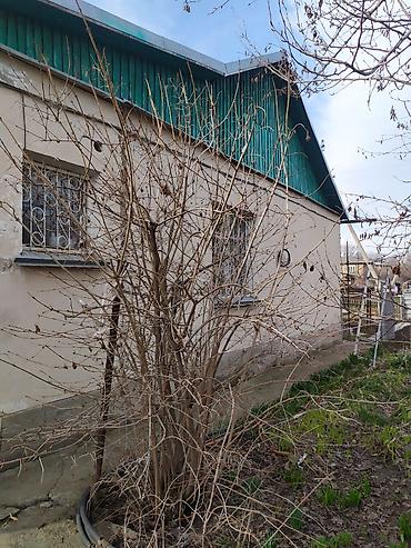 Продажа коттеджей и домов: Продаётся жилой дом с земельным участком. Основные характеристики: - — 10