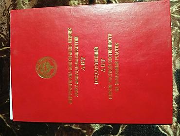 Продажа коттеджей и домов: Продаётся дом за капитальным кирпичным забором с зелёными воротами и — 10