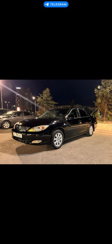 камри 2002: Toyota Camry: 2002 г., 0.3 - engine capacity л, Автомат, Бензин, Седан