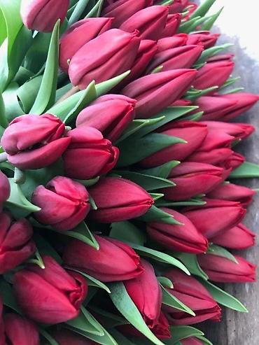 Цветы и букеты: ТЮЛЬПАНЫ ТЮЛЬПАНЫ ТЮЛЬПАНЫ на 8 марта. Бронь - Палитра: ярко‑желтые — 6