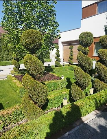 Дизайн, проектирование: Дизайн | Дома — 7