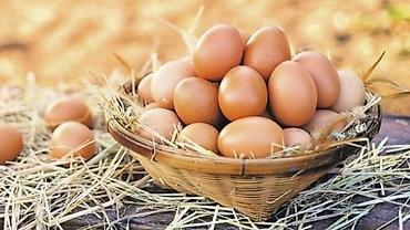 yulaf satışı: 🥚 GÜNLÜK TƏZƏ KƏND YUMURTASI SATILIR! 🥚 Qarağan Şıxlar kəndində — 7