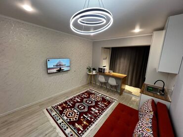 квартира бишкек аламудун: 1 бөлмө, 27 кв. м, Элитка, 4 кабат, Евроремонт
