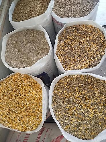 продаю кукурузу: Жемдин бардык турлору бар заказ кылсаныздар салып жиберебиз — 3