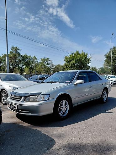 чехоль: Toyota Camry: 2000 г., 2.2 л, Автомат, Бензин, Седан — 5