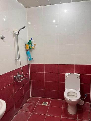 Həyət evləri və villaların satışı: Dağlıq, yaşıllıqla əhatələnmiş həyət evi - Geniş daş döşəməli həyət -da lalafo.az — 12 Həyət evləri və villaların satışı: Dağlıq, yaşıllıqla əhatələnmiş həyət evi - Geniş daş döşəməli həyət — 12