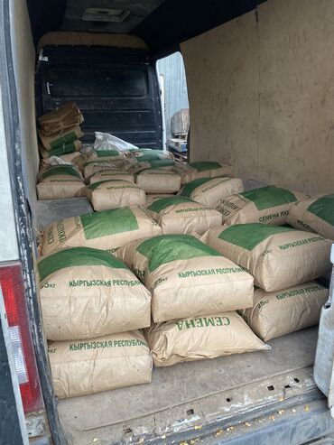 Зерновые культуры: Беде урук оптом 7 Обласка салып жоробуз ишенимду таза кепилдик бар — 10