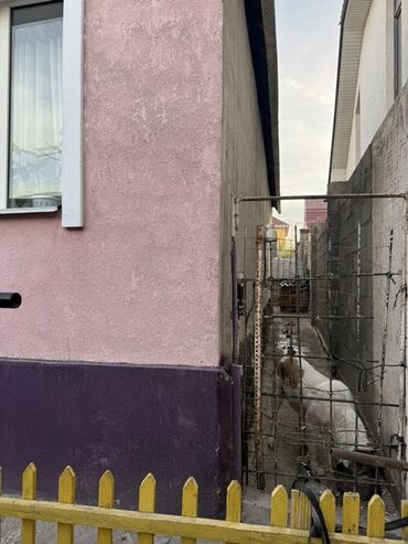 Продажа домов: Дом, 160 м², 5 комнат, Собственник, Евроремонт — 11