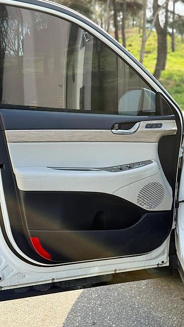 palisade 2019: Hyundai Palisade: 2019 г., Автомат, Дизель, Кроссовер — 7