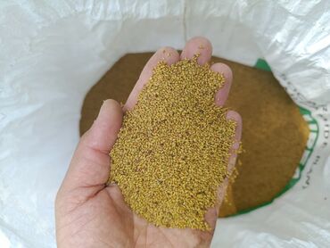 Toxumlar: 🌿 Satılır: Keyfiyyətli 8 İllik Yonca Tumu – Cəmi 6 Manat! 8 ildir
