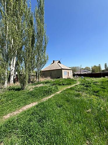 Продажа коттеджей и домов: Срочно продается дом с участком 35 соток ( по факту 45 соток) в селе — 4