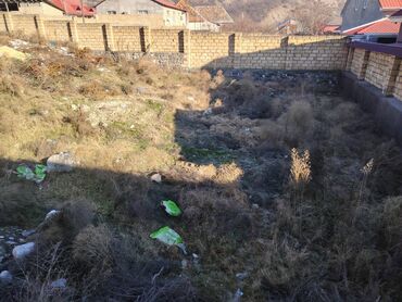 Torpaq: 6 sot, Biznes üçün, Mülkiyyətçi, Kupça (Çıxarış)