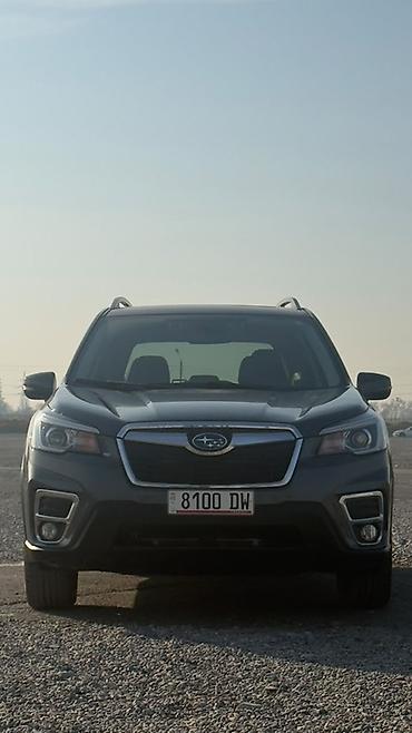 субару кроссовер: Subaru Forester: 2020 г., Бензин, Кроссовер — 1
