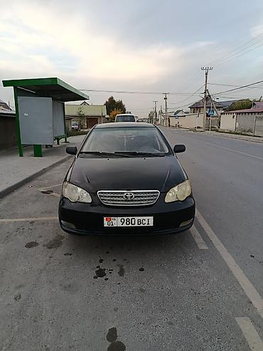 corolla toyota: Toyota Corolla: 2008 г., 1.6 л, Механика, Бензин, Седан — 2