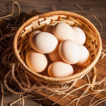 айгыр сатылат: Продаю | Куры, Цыплята, Инкубационные яйца | Домашняя
