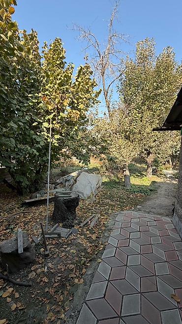 дом новопокровка 9 соток: 3 комнаты, 60 м², 7 соток, Шопоков, Агентство недвижимости — 6