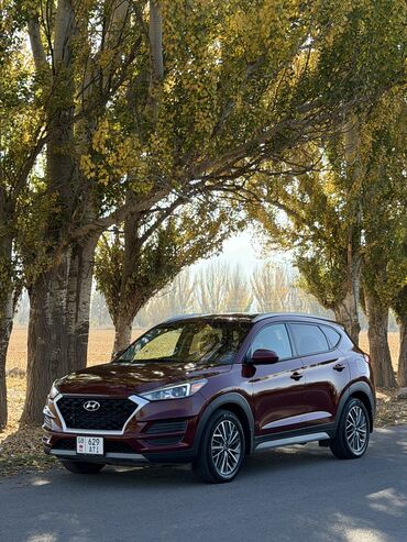 запчасти на хундай терракан: Hyundai Tucson: 2019 г., 2.4 л, Автомат, Бензин, Кроссовер