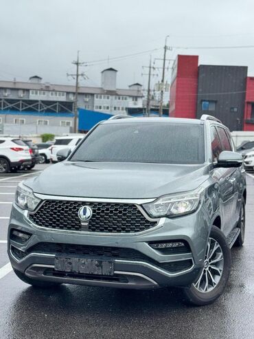 я ищу машину: Ssangyong Rexton: 2019 г., Внедорожник