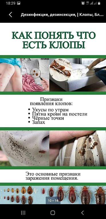 дезинсекция клопов в бишкеке холодным туманом отзывы: Дезинфекция, дезинсекция, | Клопы, | Квартиры — 4