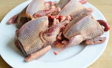Inəklər, öküzlər: Col gogercin eti