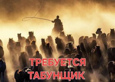 официант работы: Вакансия: табунщик/пастух лошадей Описание работ: - Выпас, перегон и at lalafo.kg официант работы: Вакансия: табунщик/пастух лошадей Описание работ: - Выпас, перегон и